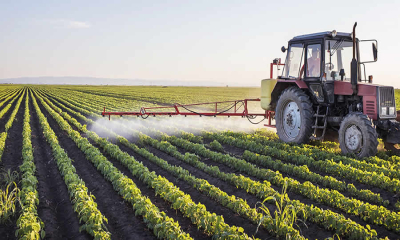 MinAgricultura reglamentó los cupos de exportación de leche, harina de trigo y aceites de soya girasol y cárcamo