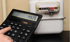 Texto del auto del Consejo de Estado que ratificó la suspensión del decreto regulatorio en materia de servicios públicos domiciliarios