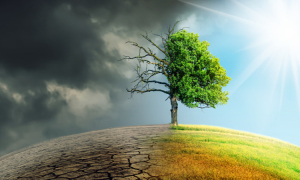 Disponible texto aprobado en primer debate del proyecto de ley que impulsa las metas y medidas mínimas en materia de carbono neutralidad y resiliencia climática