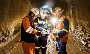 ANM detalla el uso y acceso a sus Términos de Referencia para evaluaciones técnicas mineras