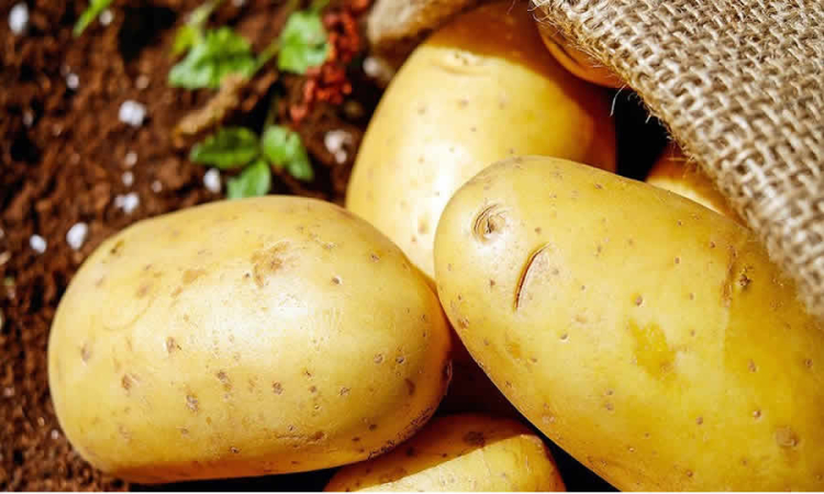 MinAgricultura adoptó el plan de ordenamiento productivo para la cadena de la papa en Colombia, la cual será el marco de la política pública para los próximos 20 años