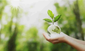 UNGRD publicó directrices para impulsar proyectos de Soluciones Basadas en la Naturaleza (SbN) con enfoque de eco-reducción y protección de la biodiversidad