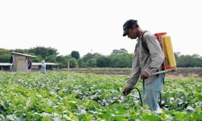 MinAmbiente se pronunció sobre la posibilidad de modificar licencias ambientales para importación de ingredientes activos de plaguicidas