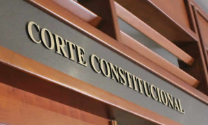 Este es el comunicado oficial de la Corte que declaró inexequibles los mecanismos de contratación directa para asociaciones público populares incluidos en el PND 2022-2026