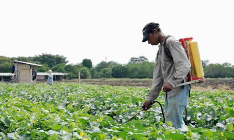 MinAmbiente clarifica normativa ambiental para servicios de fumigación y plaguicidas