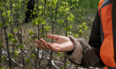 Comunidad Andina y UICN impulsarán proyectos de biodiversidad, recursos hídricos y desarrollo sostenible
