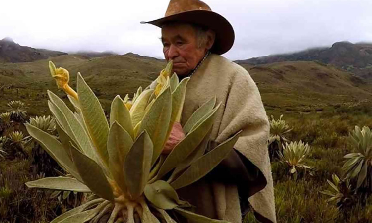 Gobierno impulsa sistema económico propio para comunidades indígenas del Cauca