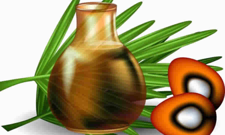 Gobierno estableció la base gravable para la cuota de fomento de la palma de aceite que operará para el primer semestre de 2025