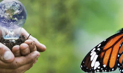 Consejo de Estado consideró que unos actos de la CAR mediante los cuales se otorgó una licencia ambiental para el desarrollo de la actividad de disposición final de residuos sólidos, fueron expedidos con falsa motivación